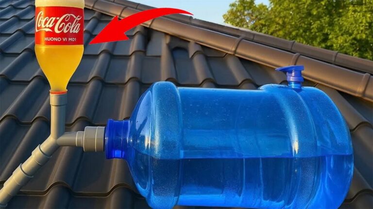 Questo semplice gesto trasforma bottiglie in un’incredibile fonte d’acqua… scopri come!