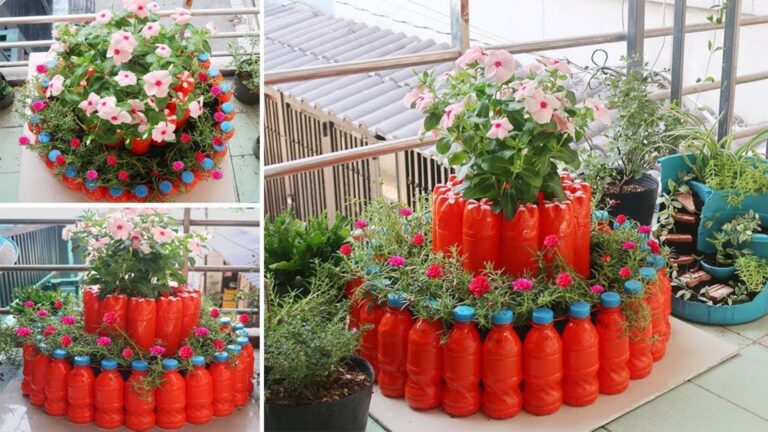Questo semplice gesto trasforma bottiglie di plastica in fioriere spettacolari…