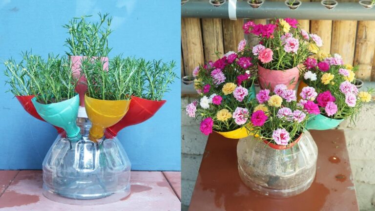 Questo trucco semplice trasforma le bottiglie di plastica in splendide Portulache…