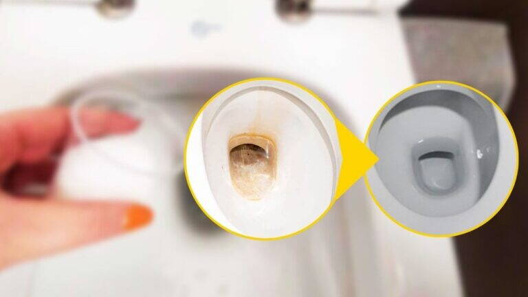 WC pulito e profumato per 7 giorni: il rimedio naturale contro calcare, macchie e cattivi odori