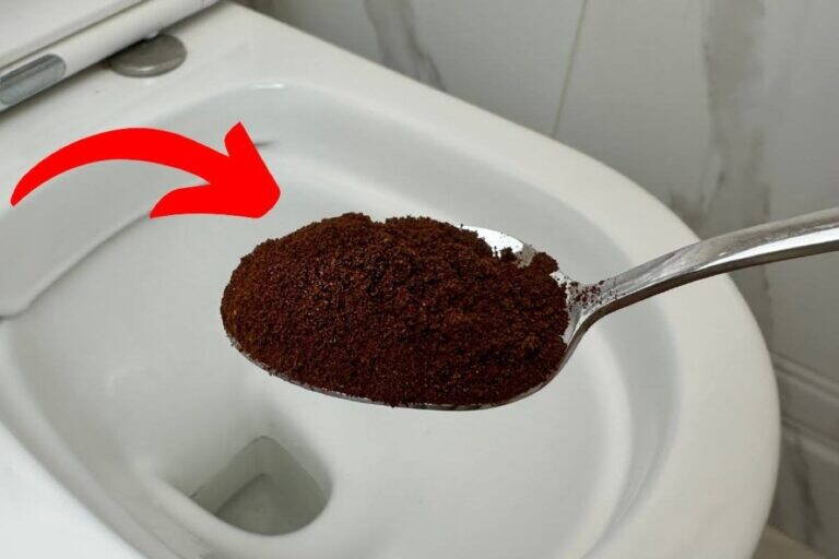 Buttane una manciata nel water e guarda cosa succede: il rimedio fai da te che aiuta a far tornare il WC più pulito