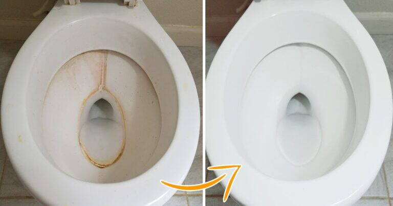WC stra-pulito: come eliminare macchie gialle e calcare con ingredienti semplici
