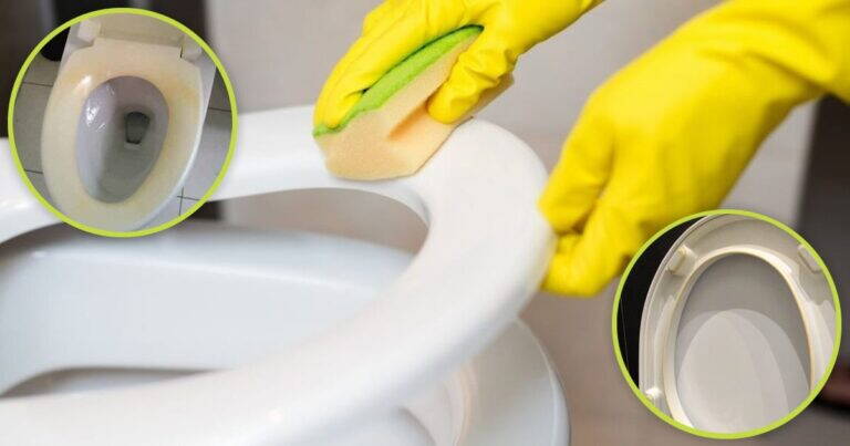 Come schiarire la tavoletta del water ingiallita: 3 trucchi semplici ed efficaci