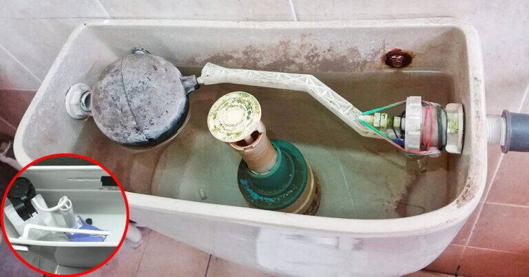 Come pulire la cassetta del WC e farla tornare come nuova
