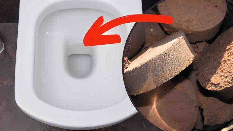 Fondi di caffè nel WC: il trucco naturale che aiuta a neutralizzare i cattivi odori