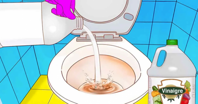Toilette sporca? Il trucco per pulirla senza sforzo e farla tornare splendente