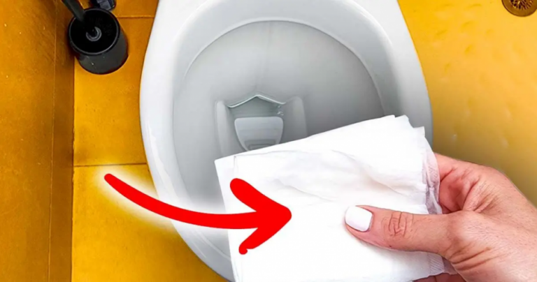 Metti la carta igienica imbevuta di aceto nella toilette e lasciala agire tutta la notte: il trucco che facilita la pulizia del WC