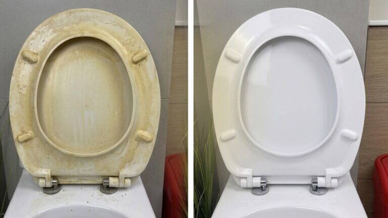 Dimentica i costosi detergenti! Questo trucco geniale rende di nuovo bianco come la neve il sedile del WC