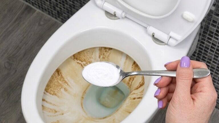 Mio marito pensava che avessi comprato un WC nuovo! Brilla come mai prima