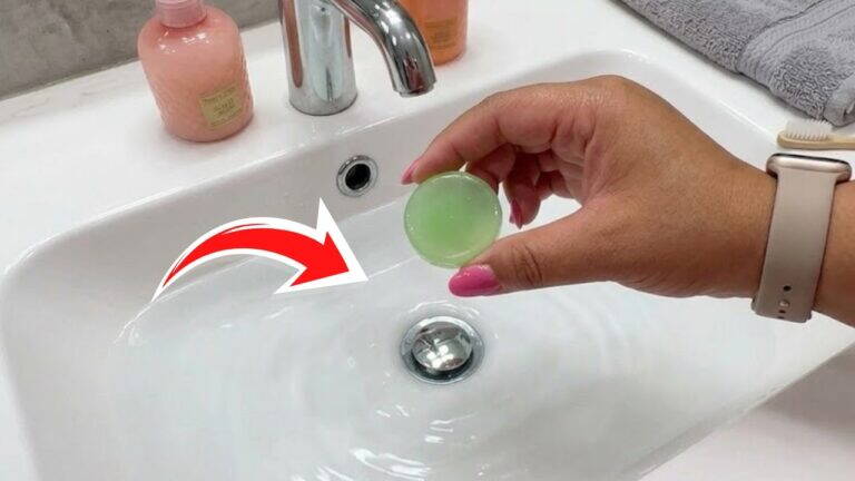 Metti questo nello scarico. Il lavandino rimane pulito e fresco a lungo