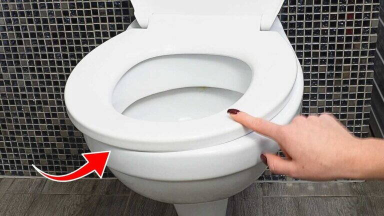 Sedile del WC allentato? Usa un semplice trucco invece di chiamare un professionista
