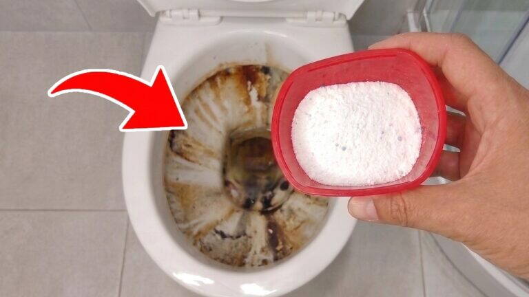 È incredibile! Versa QUESTA polvere nel WC e guarda cosa succede