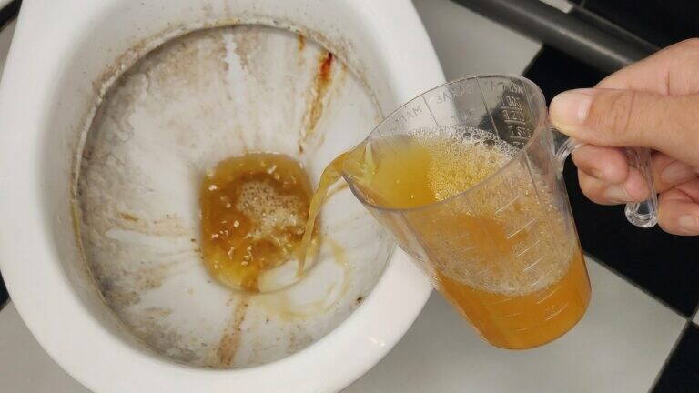 Versa semplicemente questo e il WC diventerà bianco come la neve