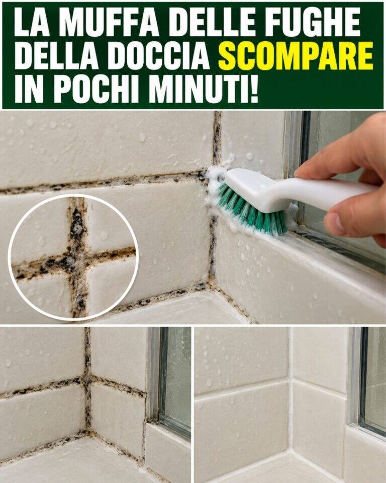 La muffa delle fughe della doccia scompare in pochi minuti!