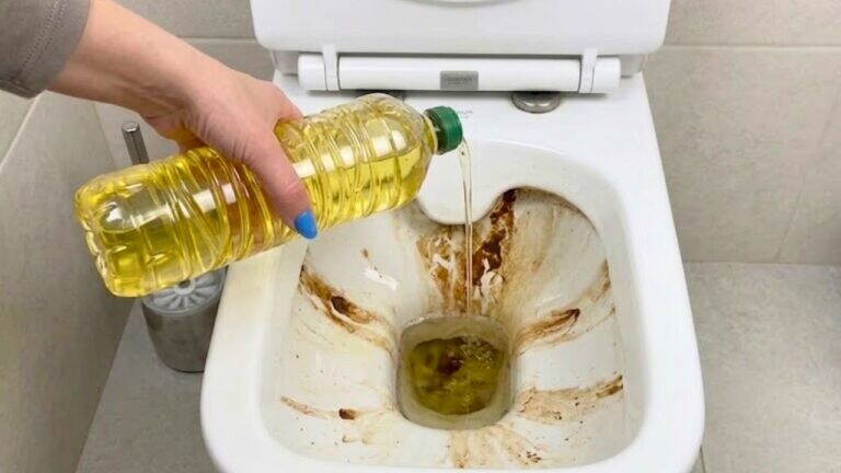 Calcare e depositi nel WC scompaiono! Versa questa miscela e guarda tu stesso
