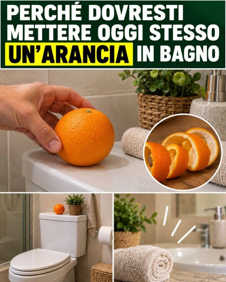 Perché dovresti mettere oggi stesso un’arancia in bagno