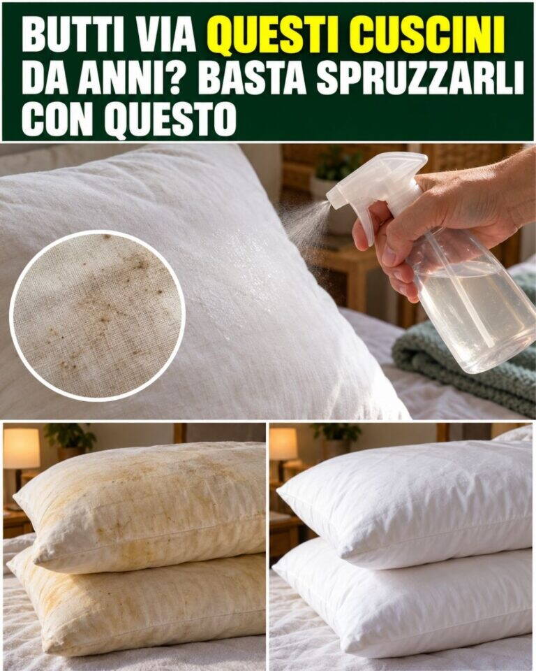 Butti via questi cuscini da anni? Basta spruzzarli con questo