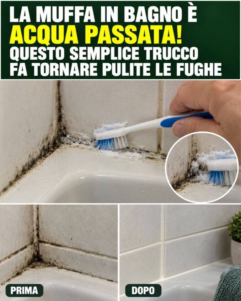 La muffa in bagno è acqua passata! Questo semplice trucco fa tornare pulite le fughe