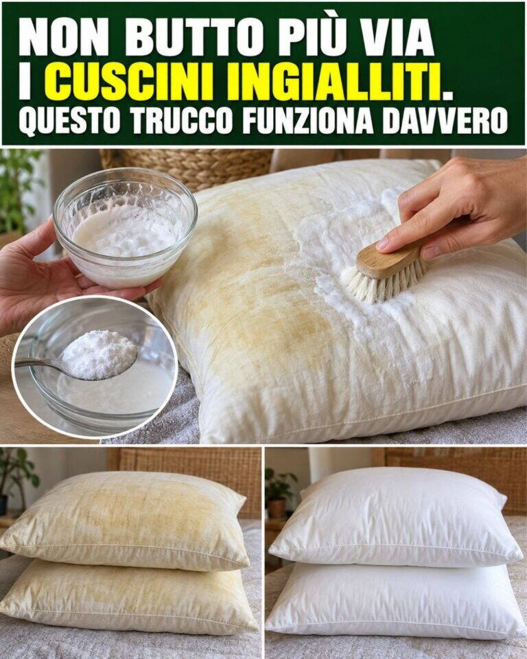 Non butto più via i cuscini ingialliti. Questo trucco funziona davvero