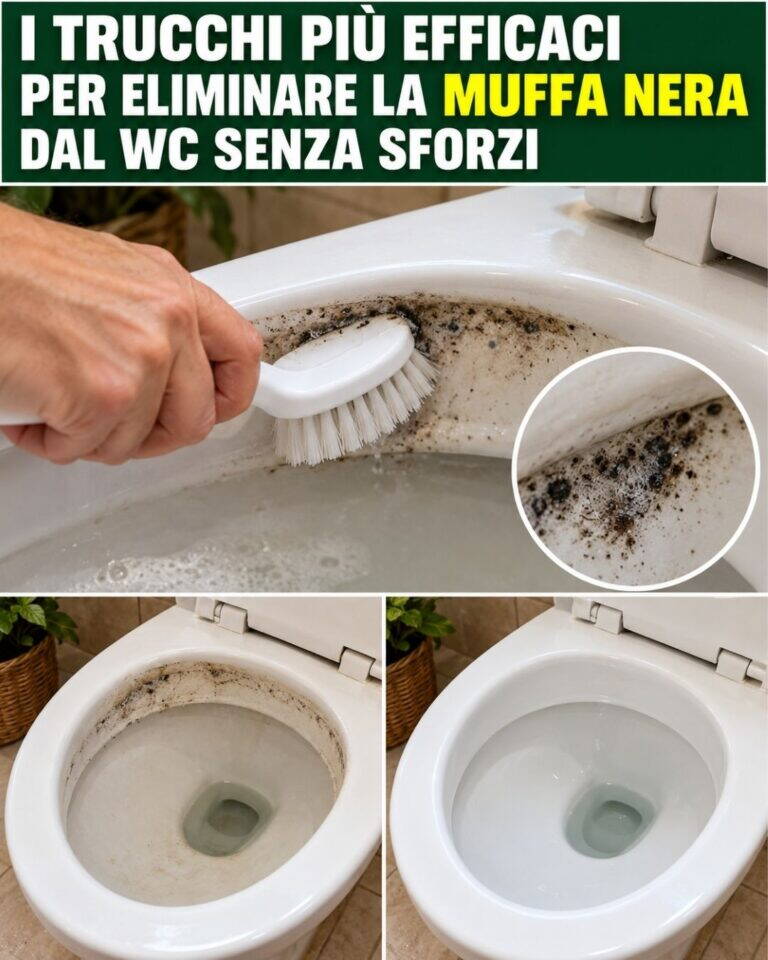I trucchi più efficaci per eliminare la muffa nera dal WC senza sforzi