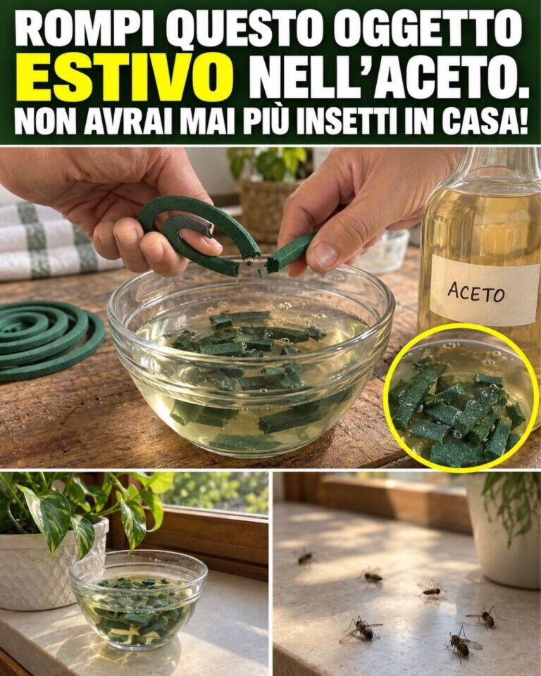 Rompi QUESTO oggetto estivo nell’aceto. Non avrai mai più insetti in casa!