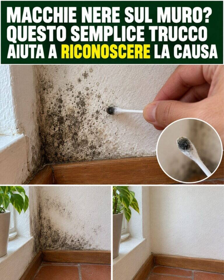 Macchie nere sul muro? Questo semplice trucco aiuta a RICONOSCERE la causa
