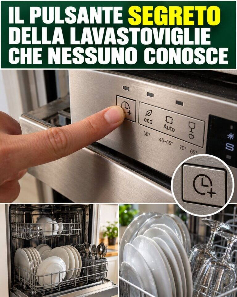 Il pulsante segreto della lavastoviglie che NESSUNO conosce