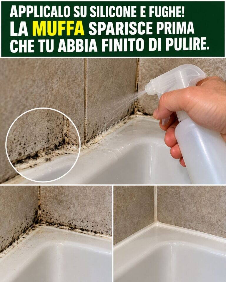 Applicalo su silicone e fughe! La MUFFA sparisce prima che tu abbia finito di pulire.