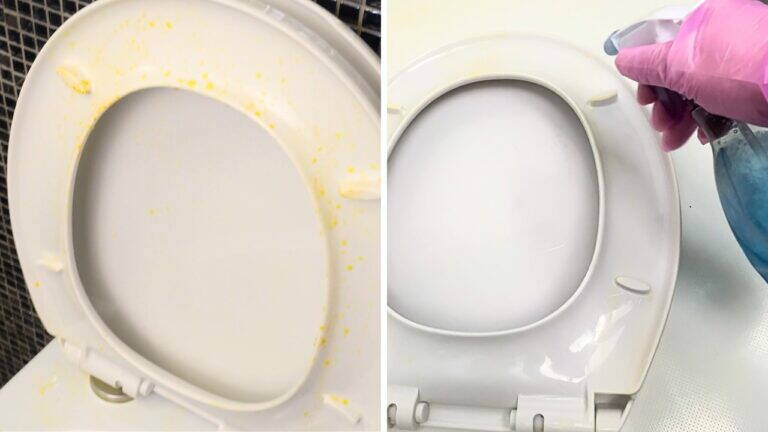 Metti QUESTO sul sedile del WC: torna subito più bianco